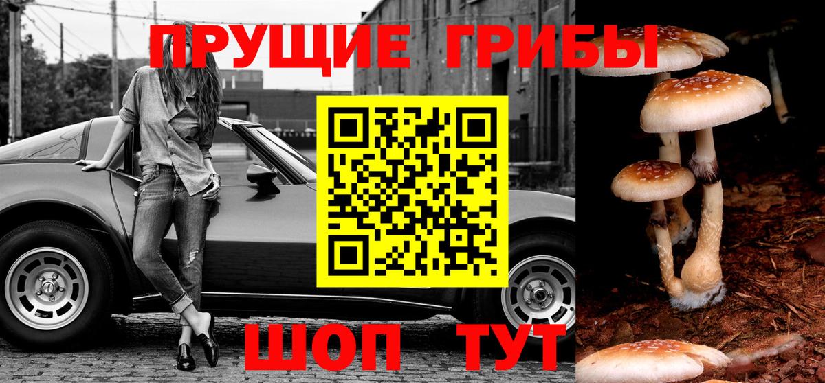 Псилоцибиновые грибы мухоморы  Вход с VPN  где можно купить наркотик  Ярцево  Псилоцибиновые грибы MAGIC MUSHROOMS 